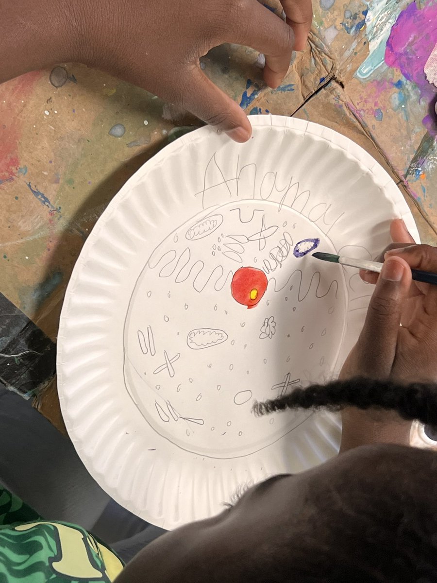 Discover the power of STEAM education at our Summer of Champions program! Watch our students engage in hands-on activities that ignite their passion for science, technology, engineering, art, and math. #STEAM #SummerofChampions