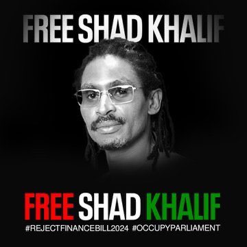 Honeyfarsafi's tweet photo. #RejectFinanceBill2024 https://t.co/dGOApgHqrZ