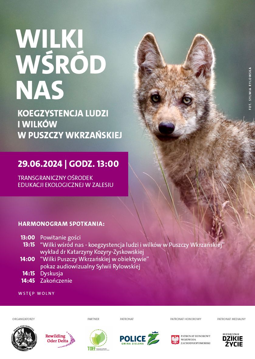 Dzikie Życie tweet media