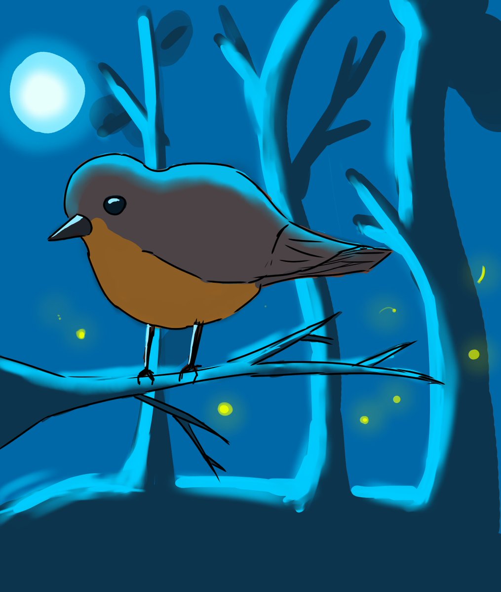 Bird Night