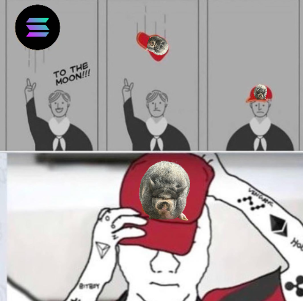 Sol influencers right now 🐽🫵
$Nike