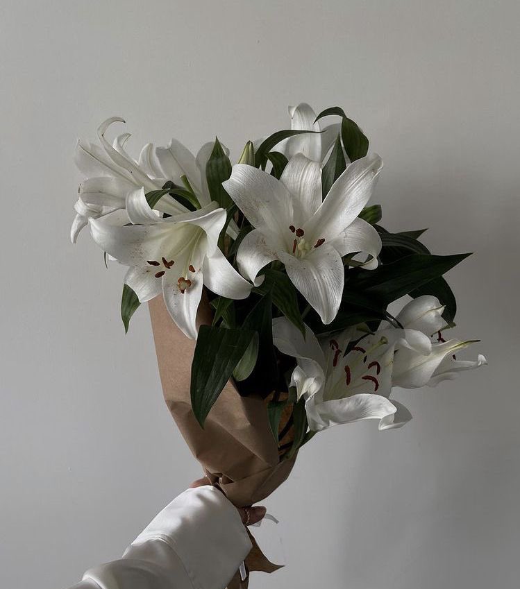 i3Moment's tweet image. Lilies