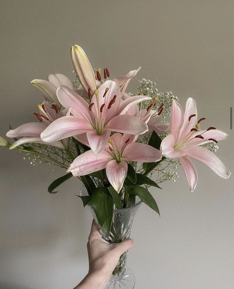 i3Moment's tweet image. Lilies