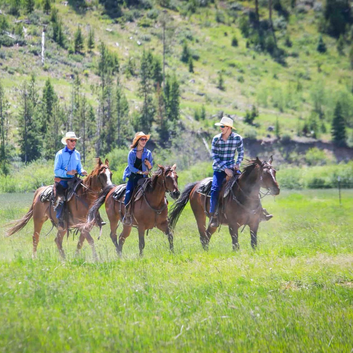 C Lazy U horses are hearty, athletic, and ready for ranch life and open pastures. Few ranches match the dedication and care we put into our horses and riding programs. Read our latest blog and find out why kids and adults love to saddle up at C Lazy U! bit.ly/4cobiGS