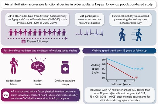 Liverpool Centre for Cardiovascular Science (@liverpoolccs) on Twitter photo Atrial fibrillation accelerates functional decline in older adults: a 15-year follow-up population-based study #Afib <a href="/LHCHFT/">LHCH</a> <a href="/LJMU_Health/">LJMUHealth</a> <a href="/LivHPartners/">Liverpool Health Partners</a> #multimorbidity <a href="/affirmo_eu/">AFFIRMO Project</a> <a href="/ARISTOTELES_HE/">ARISTOTELES EU Project</a> <a href="/TARGET_horizon/">TARGET</a> academic.oup.com/europace/artic… Atrial fibrillation accelerates functional decline in older adults: a 15-year follow-up population-based study #Afib <a href="/LHCHFT/">LHCH</a> <a href="/LJMU_Health/">LJMUHealth</a> <a href="/LivHPartners/">Liverpool Health Partners</a> #multimorbidity <a href="/affirmo_eu/">AFFIRMO Project</a> <a href="/ARISTOTELES_HE/">ARISTOTELES EU Project</a> <a href="/TARGET_horizon/">TARGET</a> academic.oup.com/europace/artic…