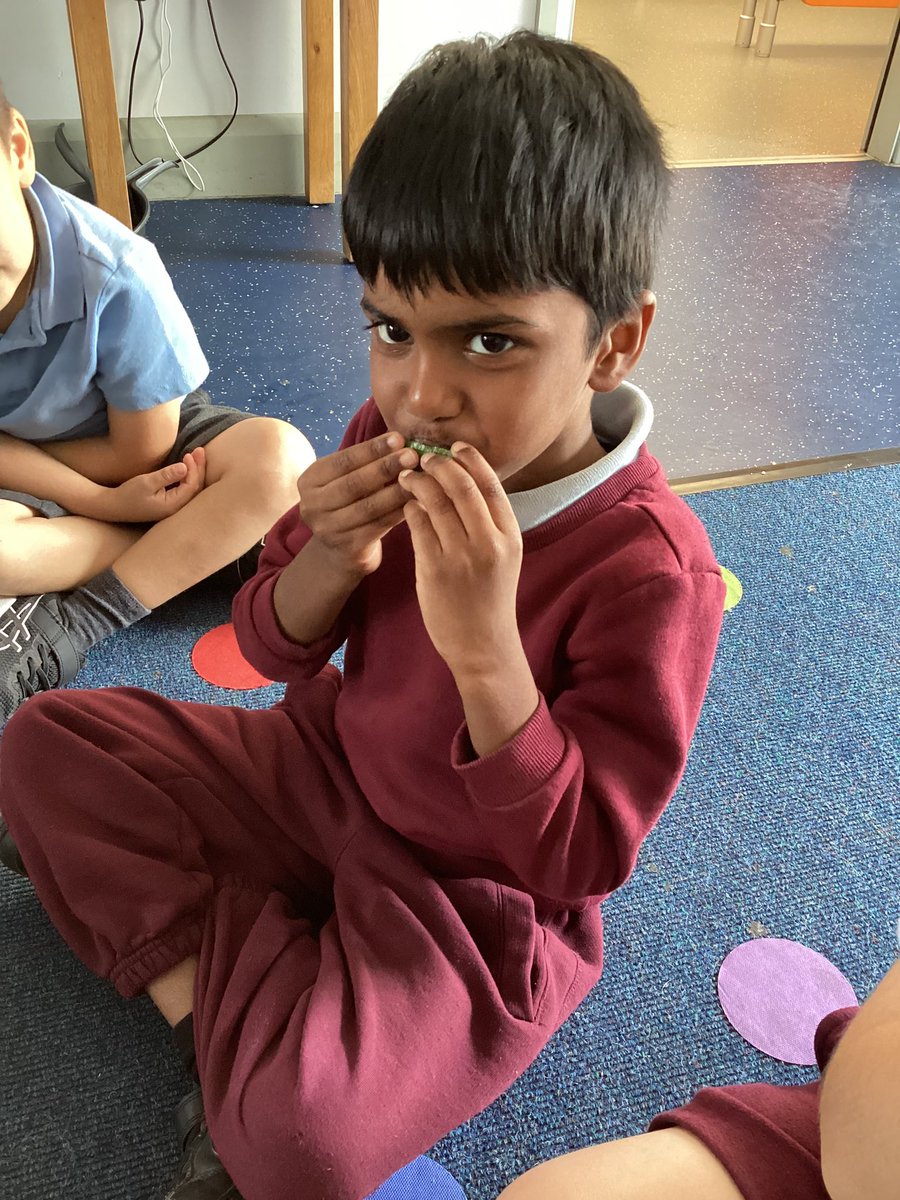 Faith Reception tweet media