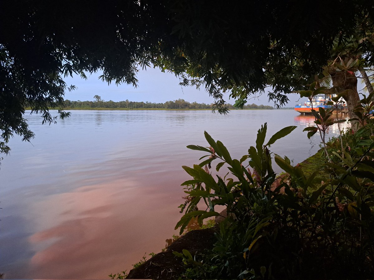 mutika's tweet photo. @Trueblue751 Happy birthday from Suriname! https://t.co/KUycxrWKdS