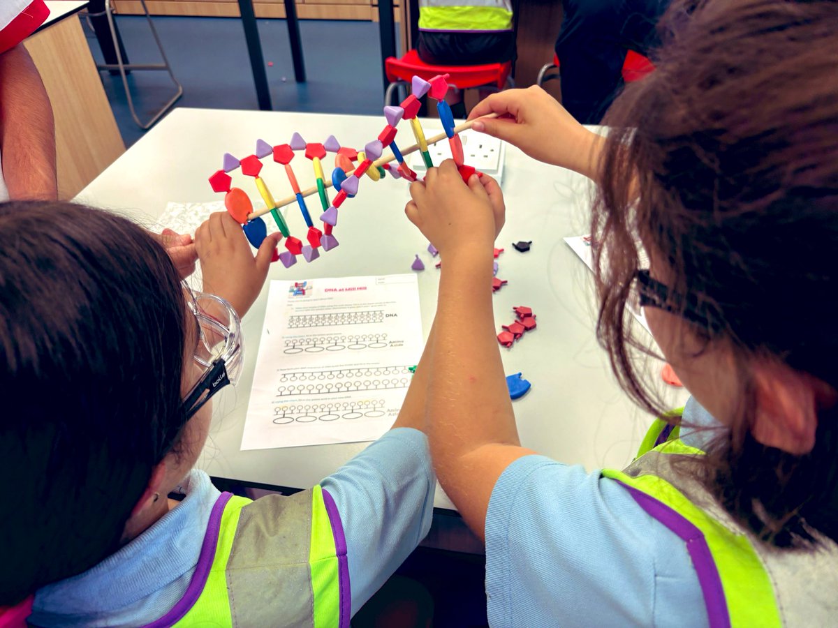 MBPS Year 5 tweet media