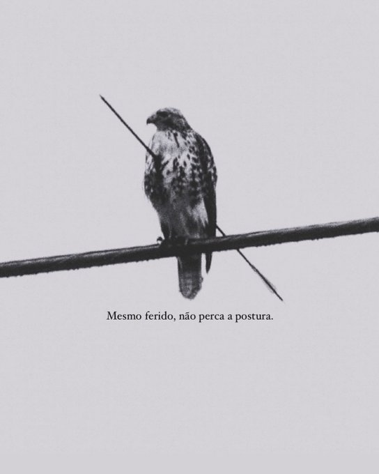 Frases (@umfilosofocitou) on Twitter photo 