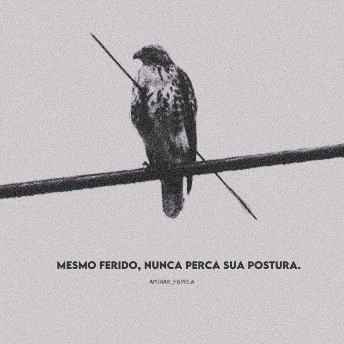 apenas_favela's tweet image. 