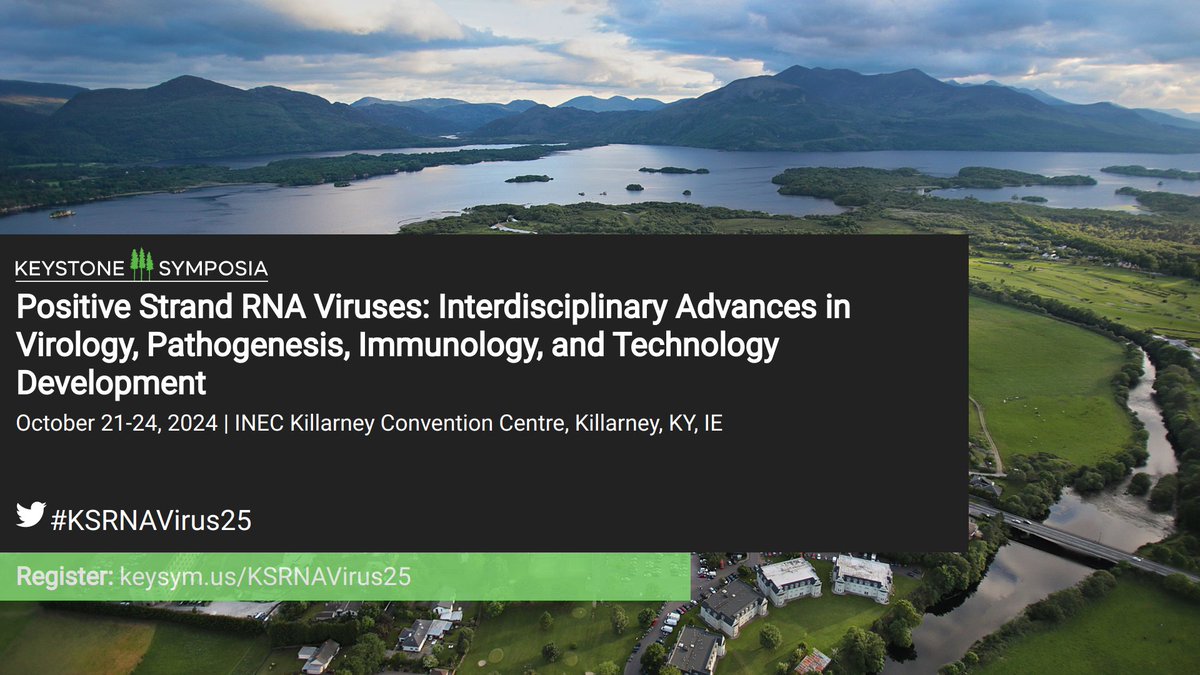 KeystoneSymp's tweet image. Interested in speaking at Positive Strand RNA Viruses? Submit your abstract to organizers by July 23rd to be considered to give a short talk. Submit your abstract now! hubs.la/Q02D18Bk0 #KSRNAVirus25 #RNAviruses #positivestrandRNAviruses #vaccinedevelopment