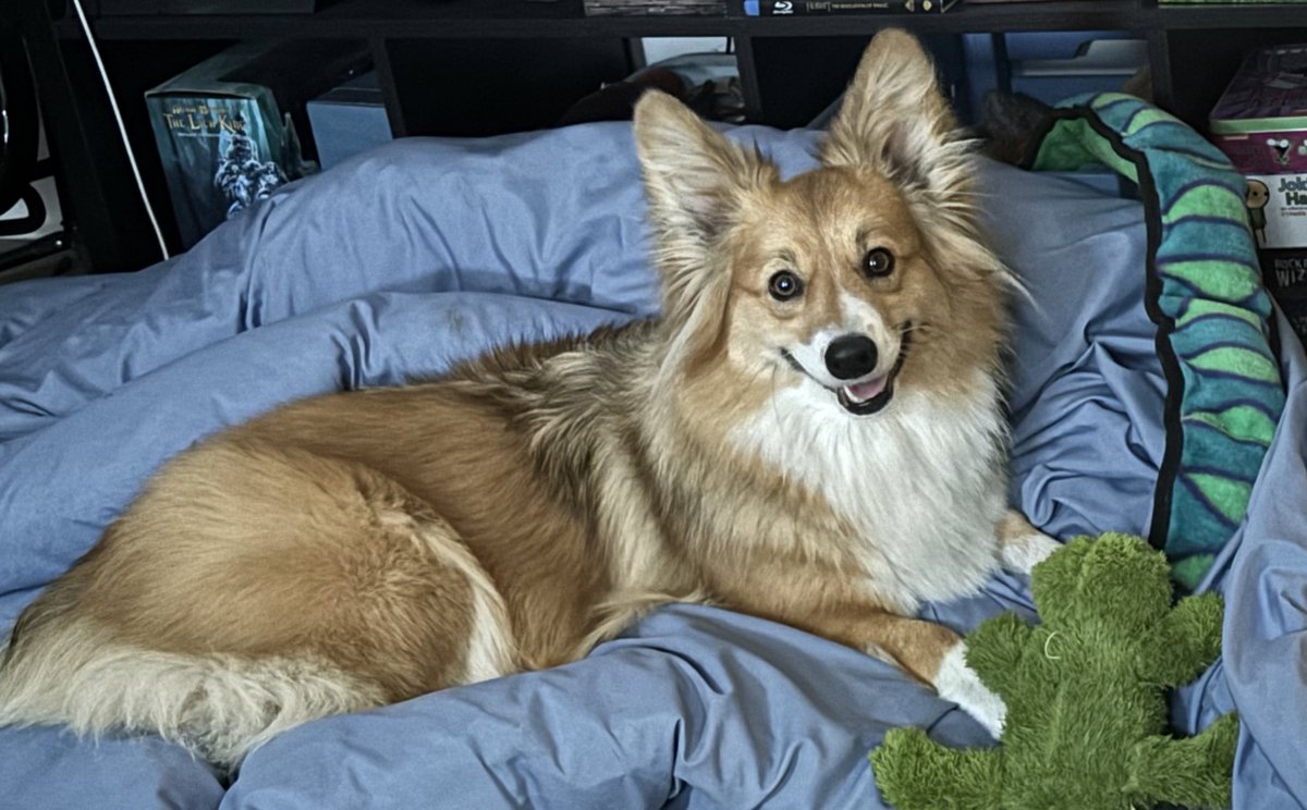 Josh Greenfield tweet media