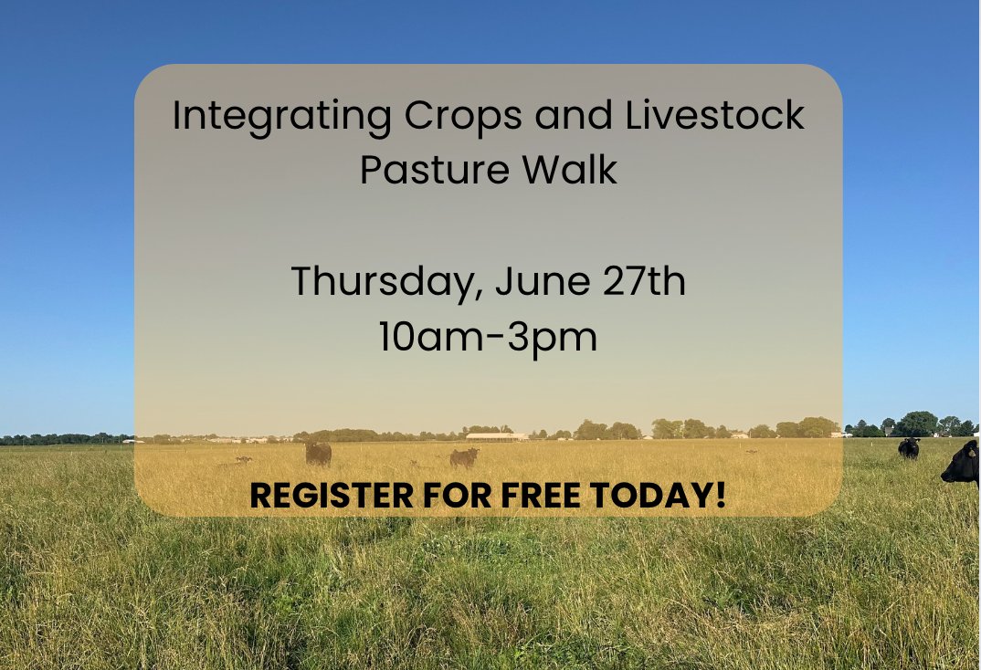 Join us at Hanson Land and Cattle in Danforth, IL for the Integrating Crops and Livestock pasture walk this Thursday! Lunch will be held at Hanson Family Meats followed by presentations. Register and find out more information using the following link: thelandconnection.org/event/integrat…