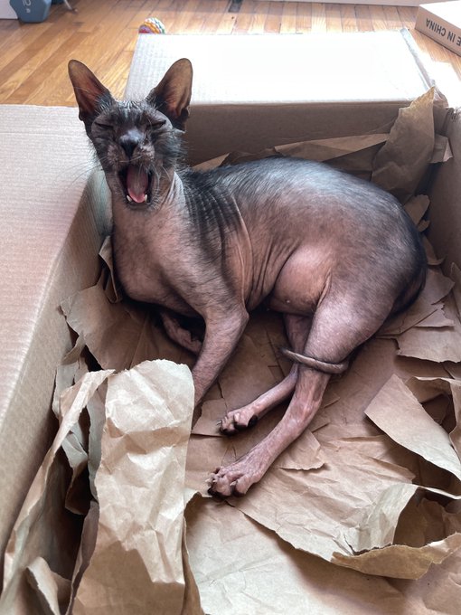 Just got a package. https://t.co/qsFk4wkXpX