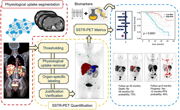 ⚡Research Update⚡

Enhancing precision: A predictive model for 177Lu-DOTATATE treatment response in neuroendocrine tumors (NETs) using quantitative 68Ga-DOTATATE PET and clinicopathological biomarkers

thno.org/v14p3708.htm