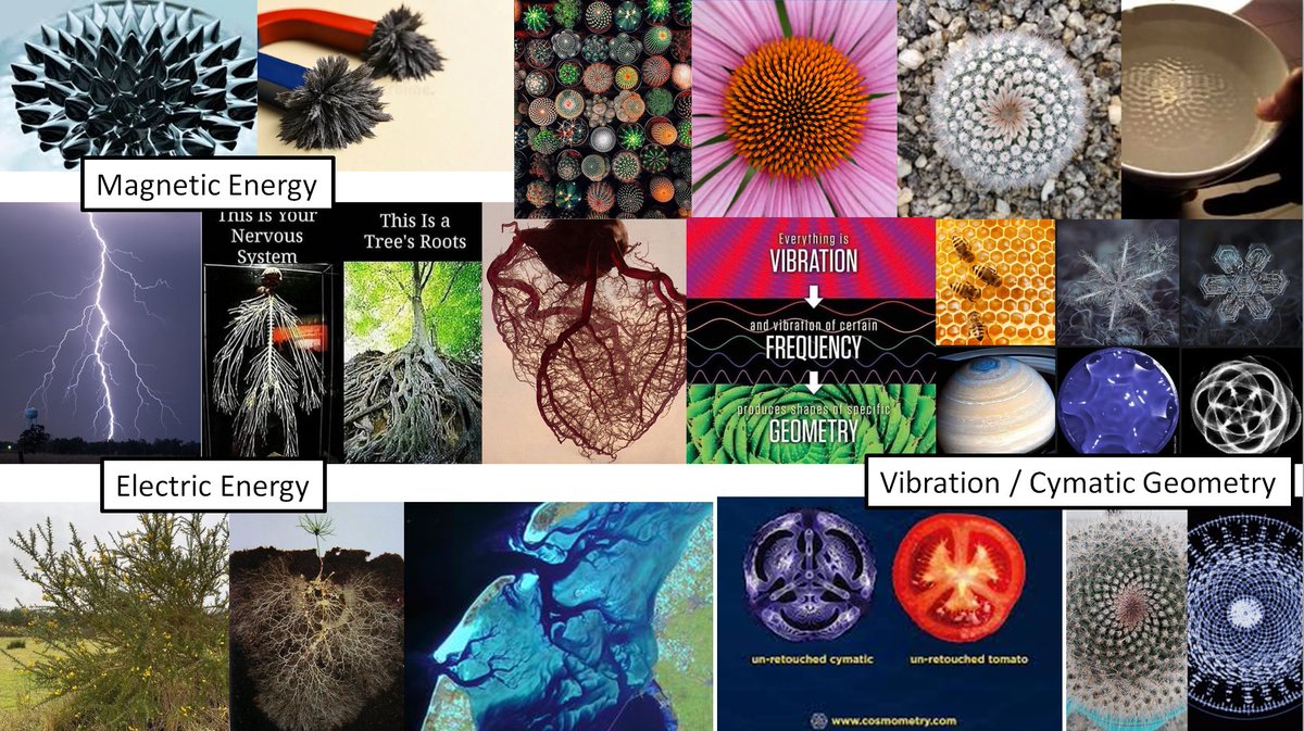 mexevbg369's tweet image. Nature in a nut-shell:
Permanent electrostatic energy,
Permanent magnetic energy,
And these energy undergoing change or in equilibrium.

Energy fields that vibrate, fractal &amp;amp; zero-point-sourced.
Powered by a literal point-infinity.

#FractalNature #Energyfields #PointInfinity