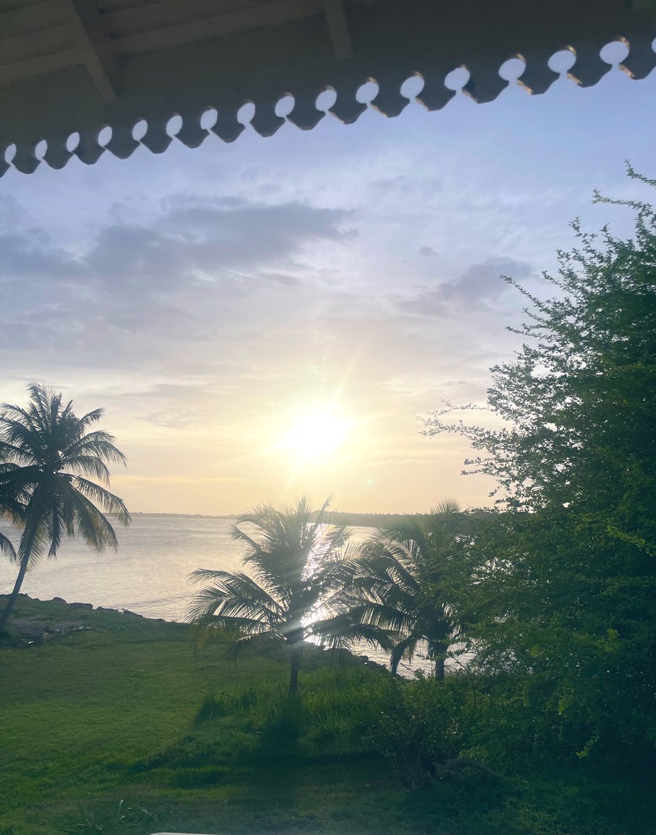 CleoSev's tweet image. Tobago reset.