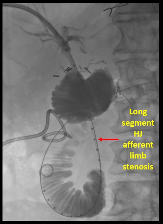 University of Arizona VIR tweet media
