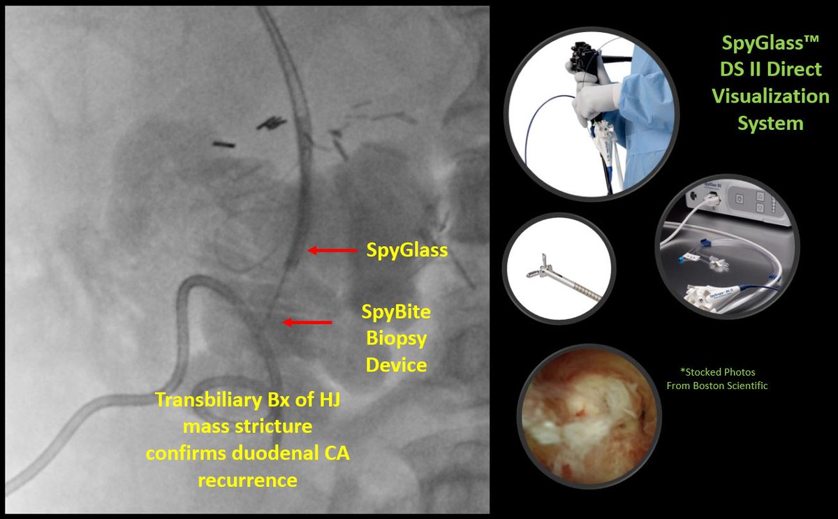 University of Arizona VIR tweet media