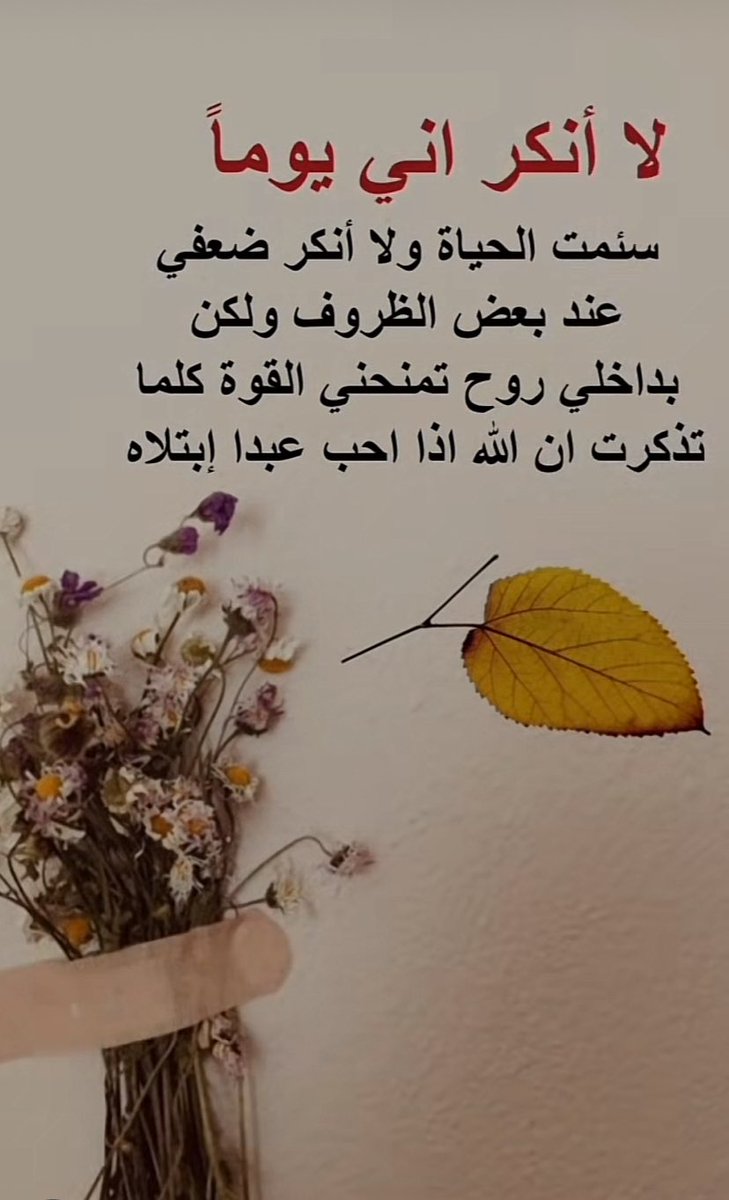 🕊️ɷȷᒪɹɹɹ tweet media