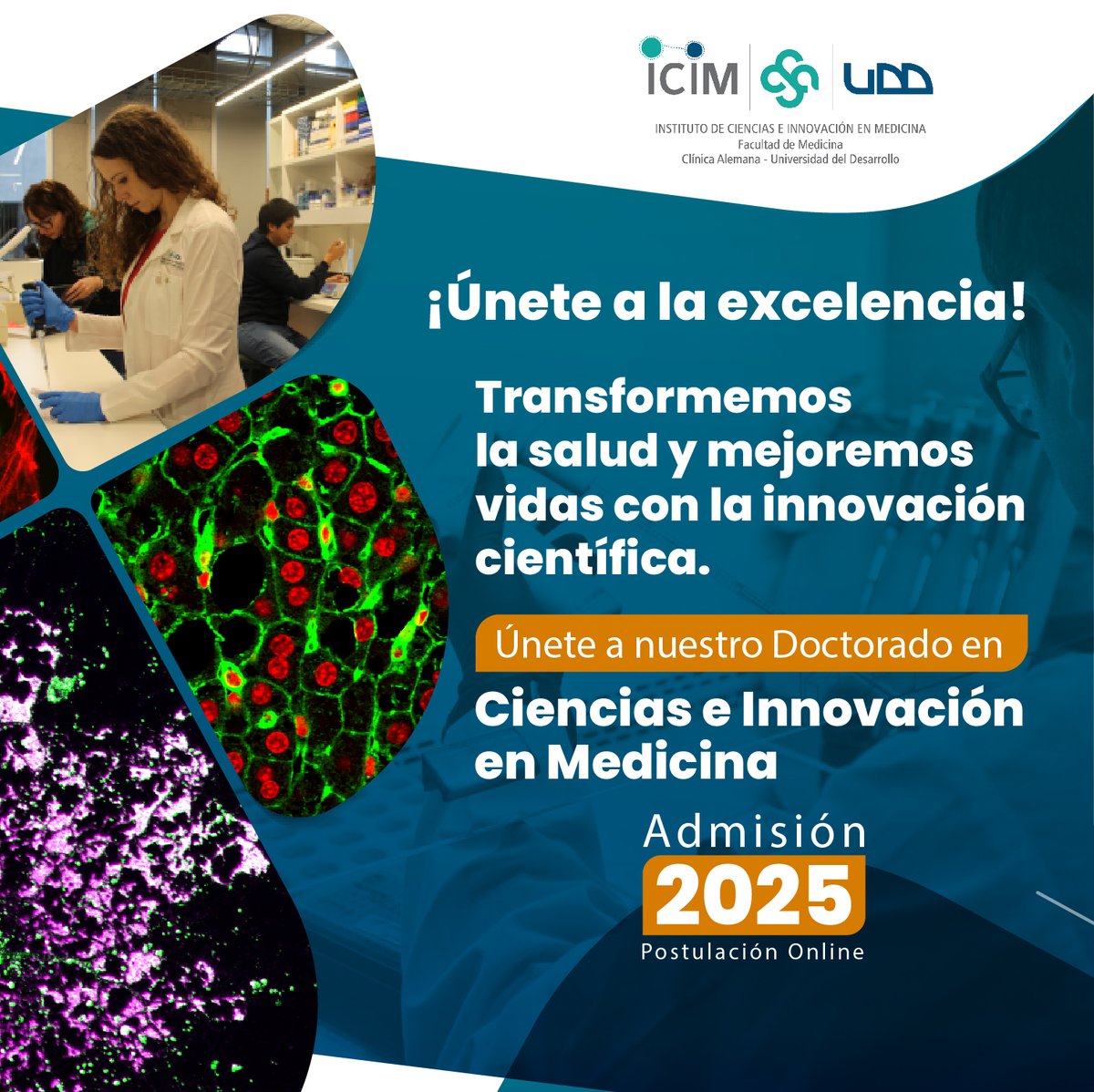 ¿Eres un científico innovador apasionado por la búsqueda de soluciones a problemas de la biomedicina y los sistemas de salud?🧐

¡Este programa es para ti! 🧬
Conoce los requisitos de admisión 2025 en el siguiente link: acortar.link/rp5tna