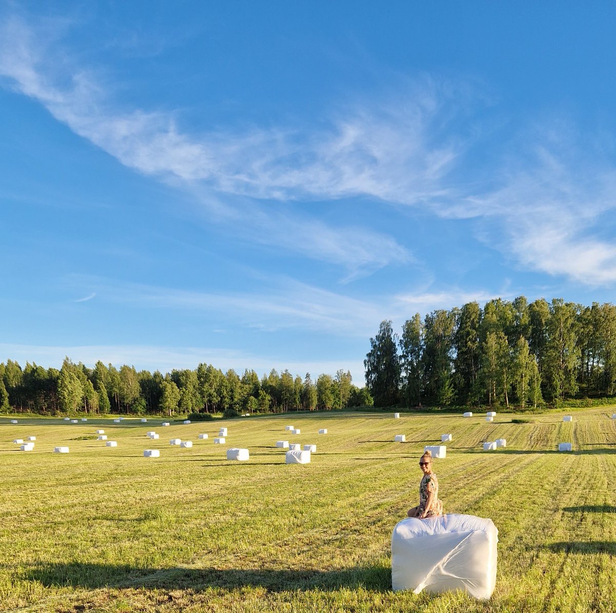 Tämä isäntä istuu paalin päällä tyytyväisenä päivän paalauksista. Kiitos yhteistyöstä <a href="/KLiljamaa/">Kaisa Liljamaa</a> 💚