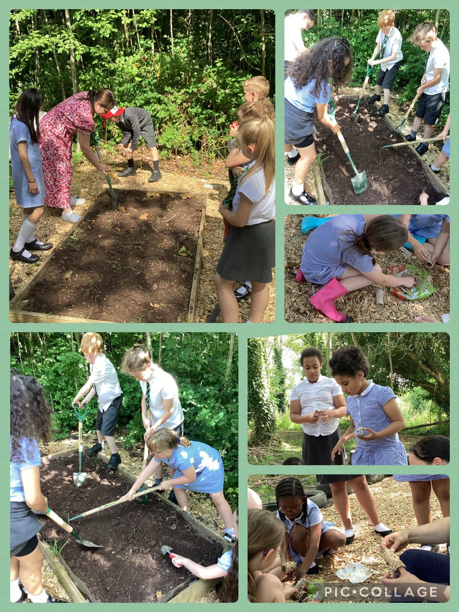 Mesne Lea (@mesne_lea) on Twitter photo Tonight in forest school, we planted seeds and made some bird feeders. They all did amazing and hopefully in the next couple of weeks we will see some beautiful flowers 🌺 thanks again for all the staff that helped out <a href="/MrsFosterTweets/">Mrs Foster</a> Tonight in forest school, we planted seeds and made some bird feeders. They all did amazing and hopefully in the next couple of weeks we will see some beautiful flowers 🌺 thanks again for all the staff that helped out <a href="/MrsFosterTweets/">Mrs Foster</a>