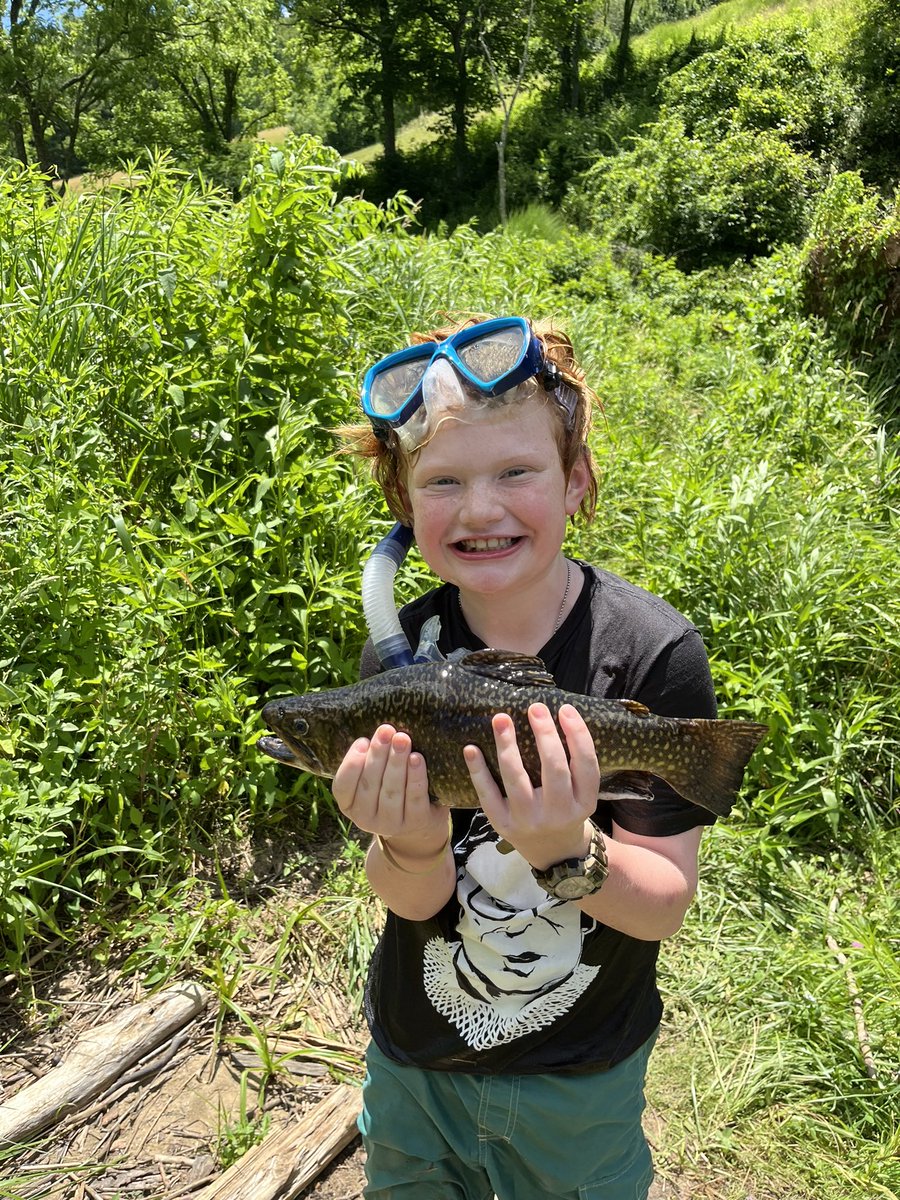 Dad Teaching Wright tweet media