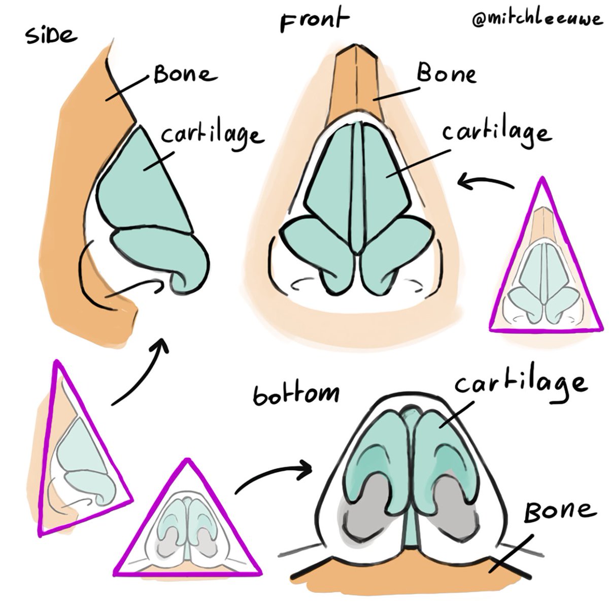 Its also usefull to practice some anatomy! 