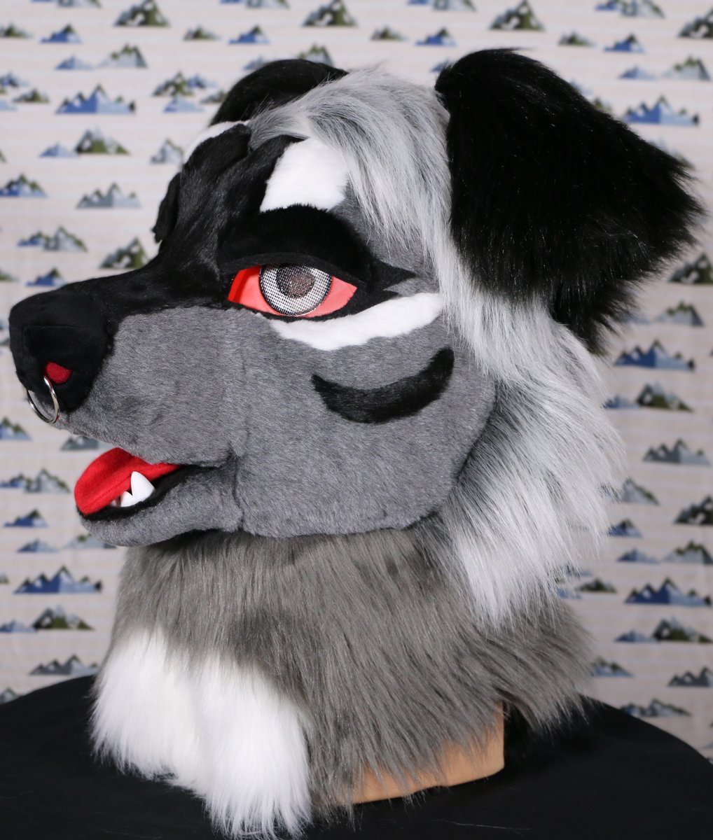 ✨NEW PREMADE RELEASE✨
Kuna the #hellhound!
Fits up to 23"
Comes with Head, Handpaws, and Tail.
$3,000 USD Plus shipping!
Tell your friends, Give it a share, Lets work together to get her to a home that will Care!
 
#premade #fursuit #fursuitforsale