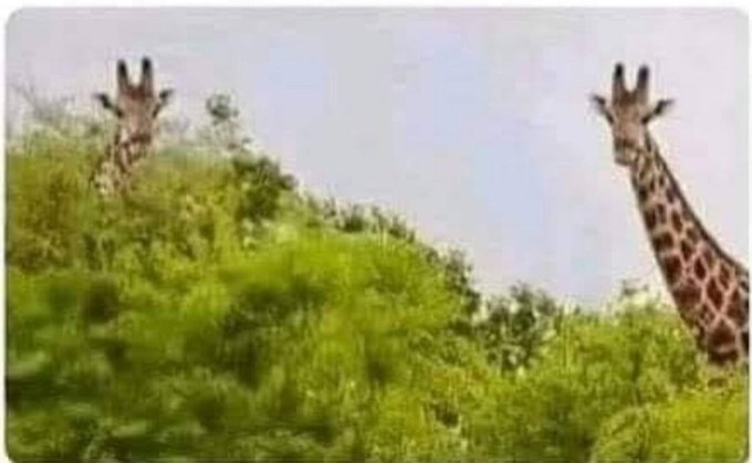 Watch 𝕄𝕚𝕣𝕏✨'s leaked NSFW photo on TwXstars