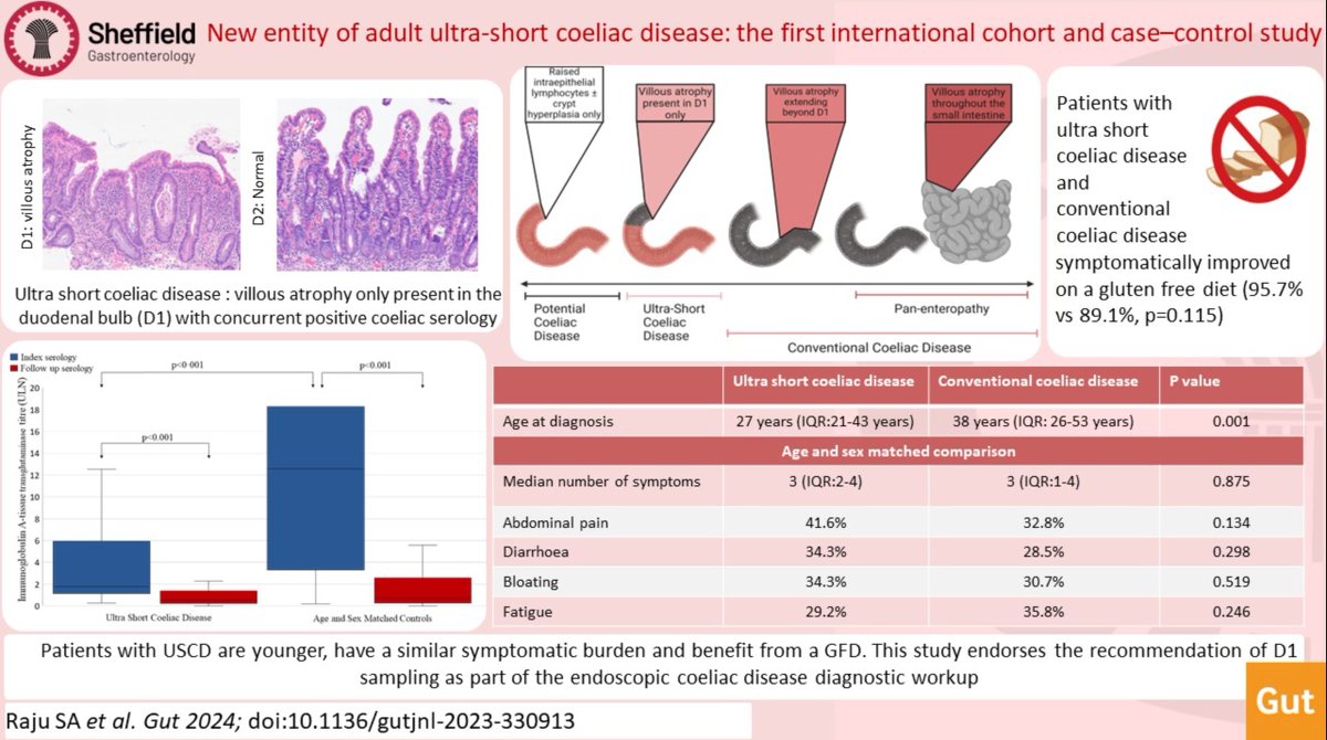 Gut Journal (@gut_bmj) on Twitter photo #GUTAbstract by <a href="/DrSunnyR/">Sunny</a> et al on the paper
"New entity of adult ultra-short coeliac disease: the first international cohort and case–control study" via bit.ly/3XFrTBM
Paper: bit.ly/3VGDrmX
<a href="/Mo_Shiha/">Mohamed Shiha</a> <a href="/ShefUni_ClinMed/">Sheffield Uni - Clinical Medicine 🦠 💉 🫀💙🔬🩺</a> #GUTAbstract by <a href="/DrSunnyR/">Sunny</a> et al on the paper
"New entity of adult ultra-short coeliac disease: the first international cohort and case–control study" via bit.ly/3XFrTBM
Paper: bit.ly/3VGDrmX
<a href="/Mo_Shiha/">Mohamed Shiha</a> <a href="/ShefUni_ClinMed/">Sheffield Uni - Clinical Medicine 🦠 💉 🫀💙🔬🩺</a>