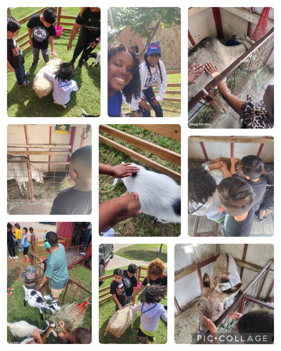 Arenda Mosley, M.Ed tweet media