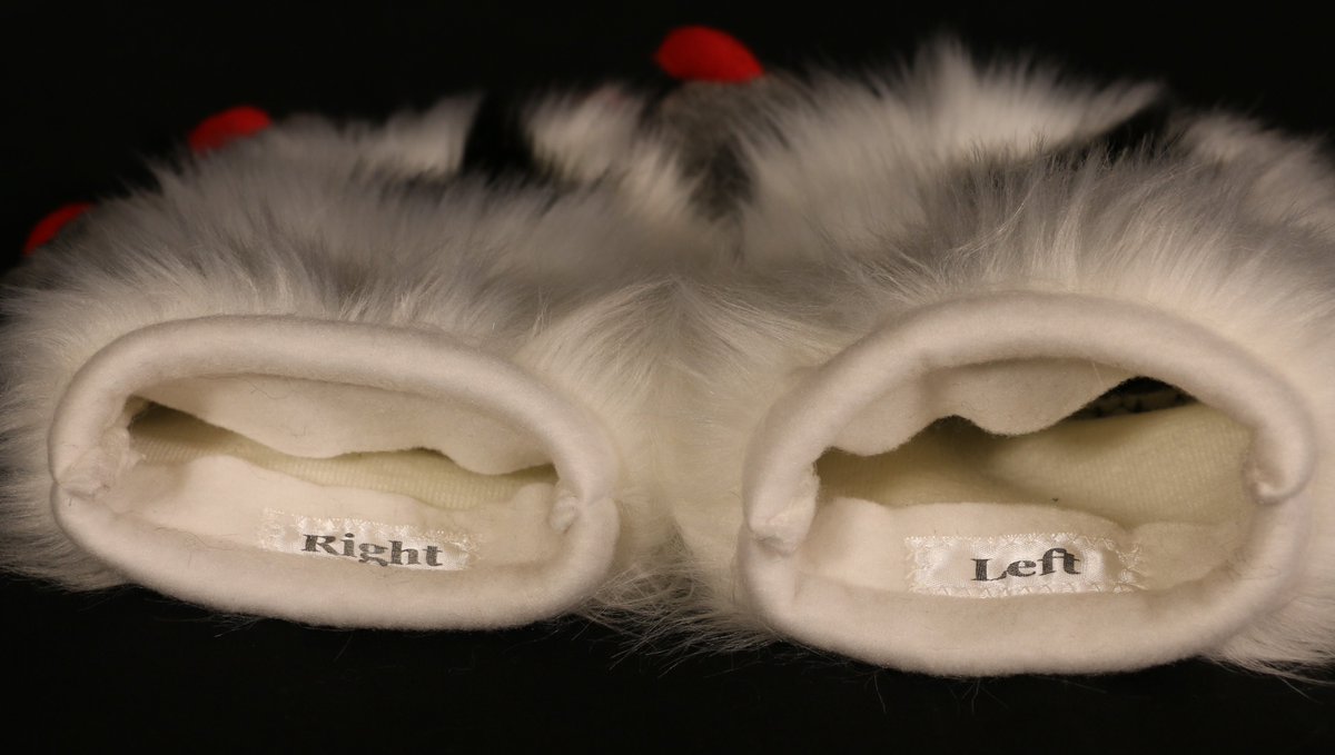 Carolina Critters tweet media