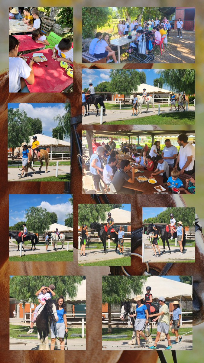 Insercor Fundacio UEC tweet media