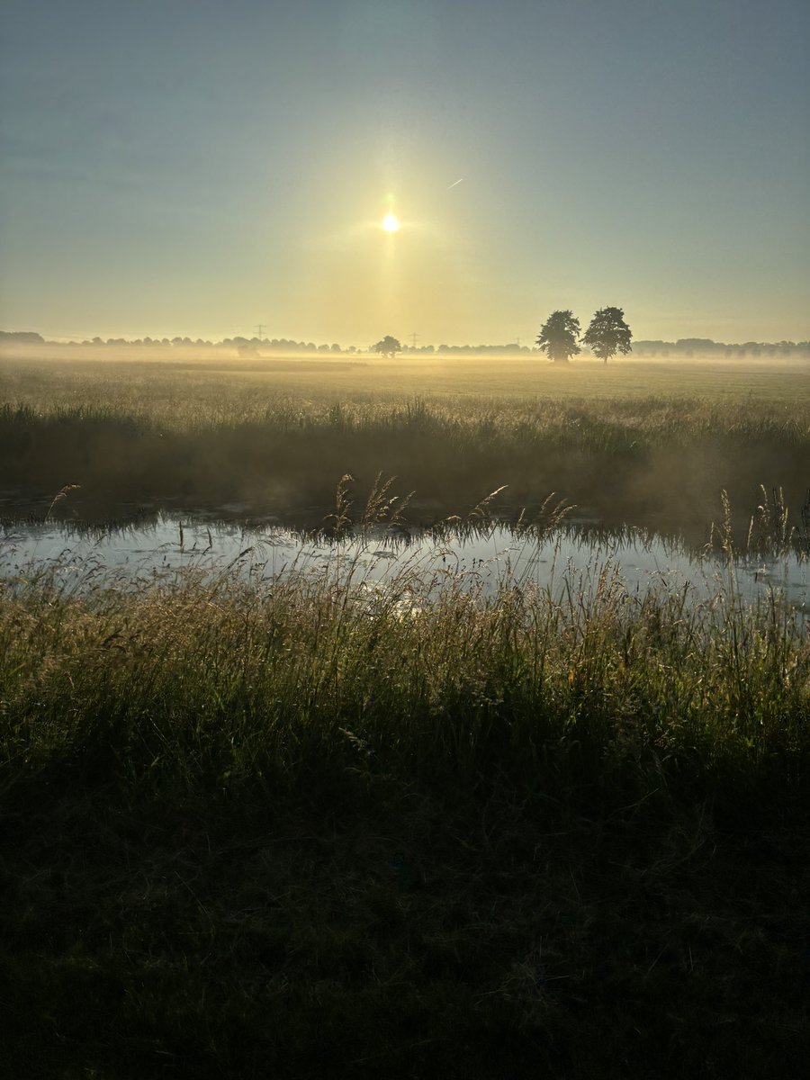 MuisPlasbuis's tweet photo. @Jsapertje Ik ook joh https://t.co/iGQXQRGNyJ