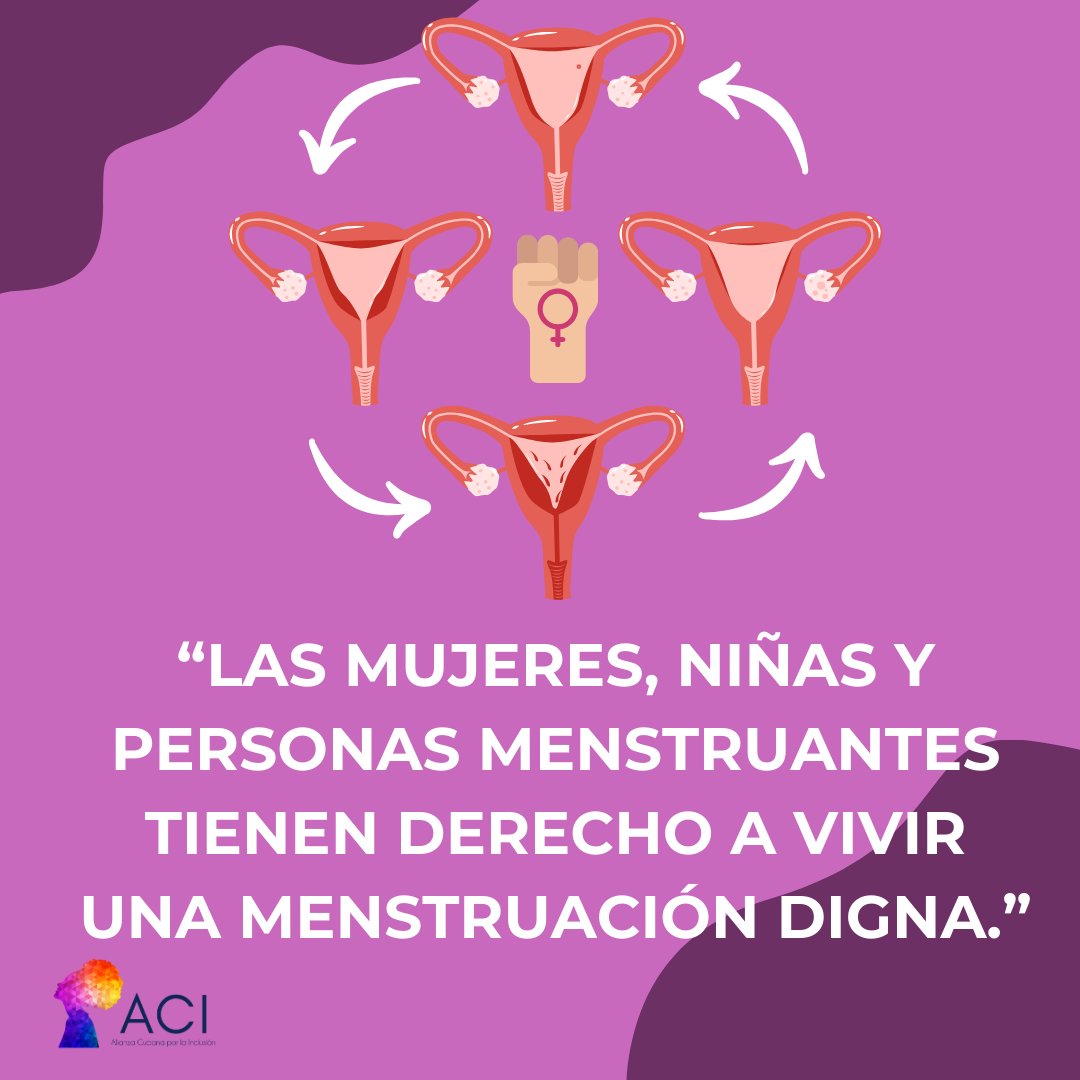 Alianza Cubana por la Inclusión tweet media