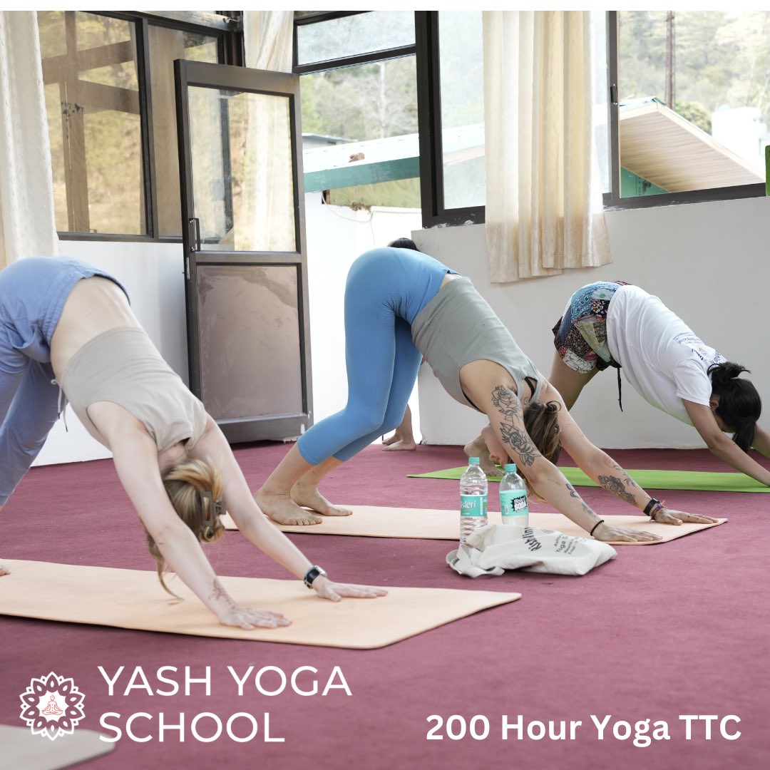 YashYogaIndia's tweet photo. #NewMonthNewBeginnings #YogaTeacherTraining #India

Learn more and embark on your yoga journey: https://t.co/YwyziO76Gh

Email: yashyogaschool@gmail.com

Whatsapp: +91 7500669222

#Rishikesh #IndiaYoga #YogaCertification #YogaTransformation #YogaCommunity https://t.co/0CXecMDYFU