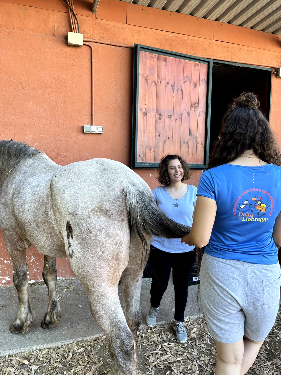 Insercor Fundacio UEC tweet media