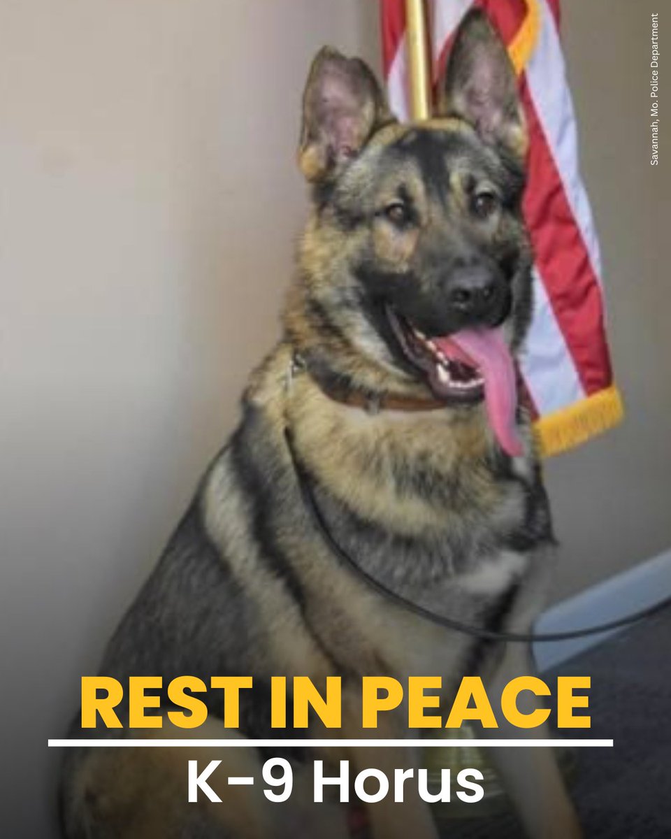 FOX5 Las Vegas tweet media