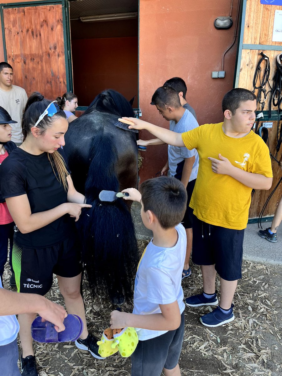 Insercor Fundacio UEC tweet media