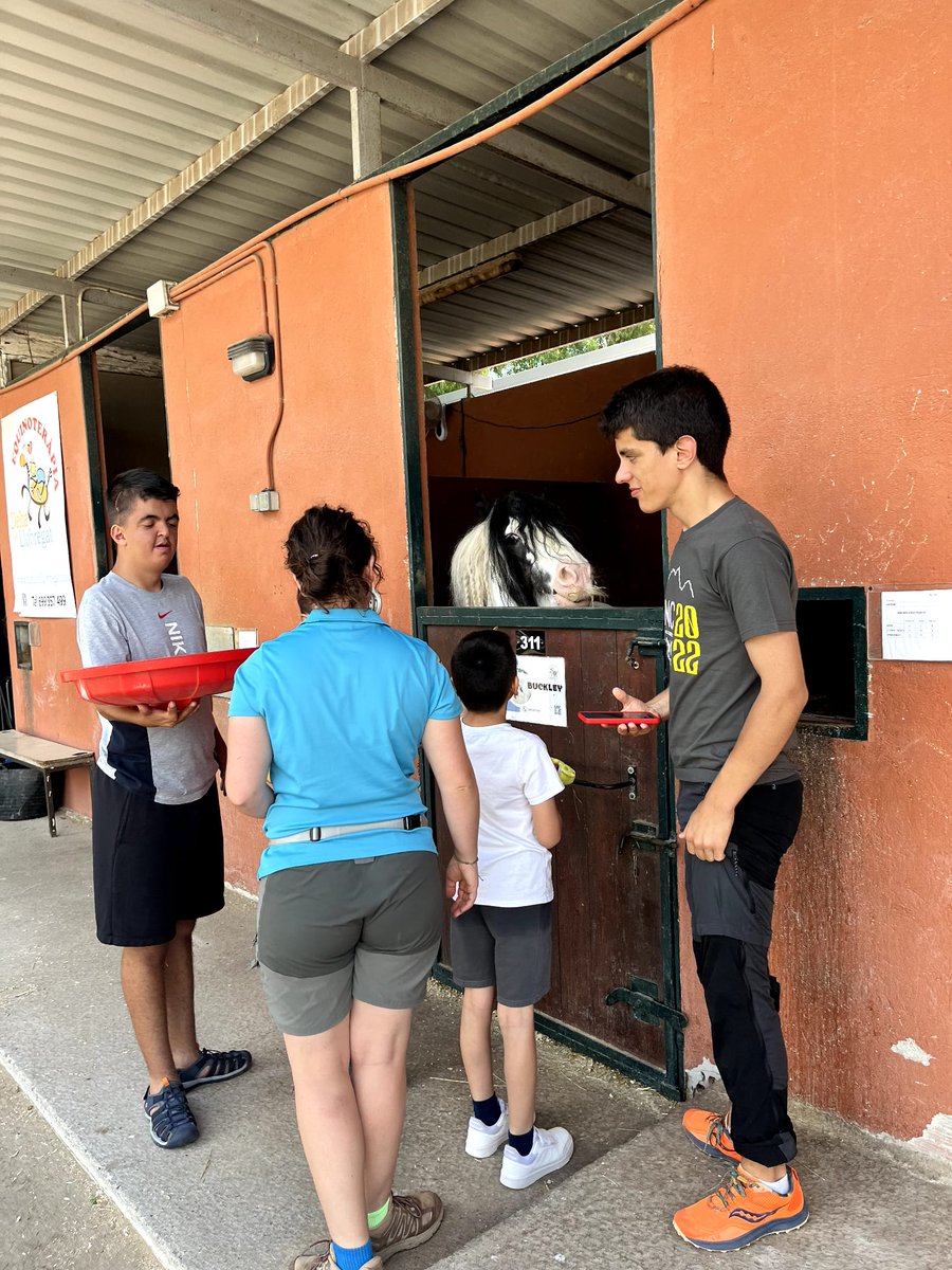 Insercor Fundacio UEC tweet media