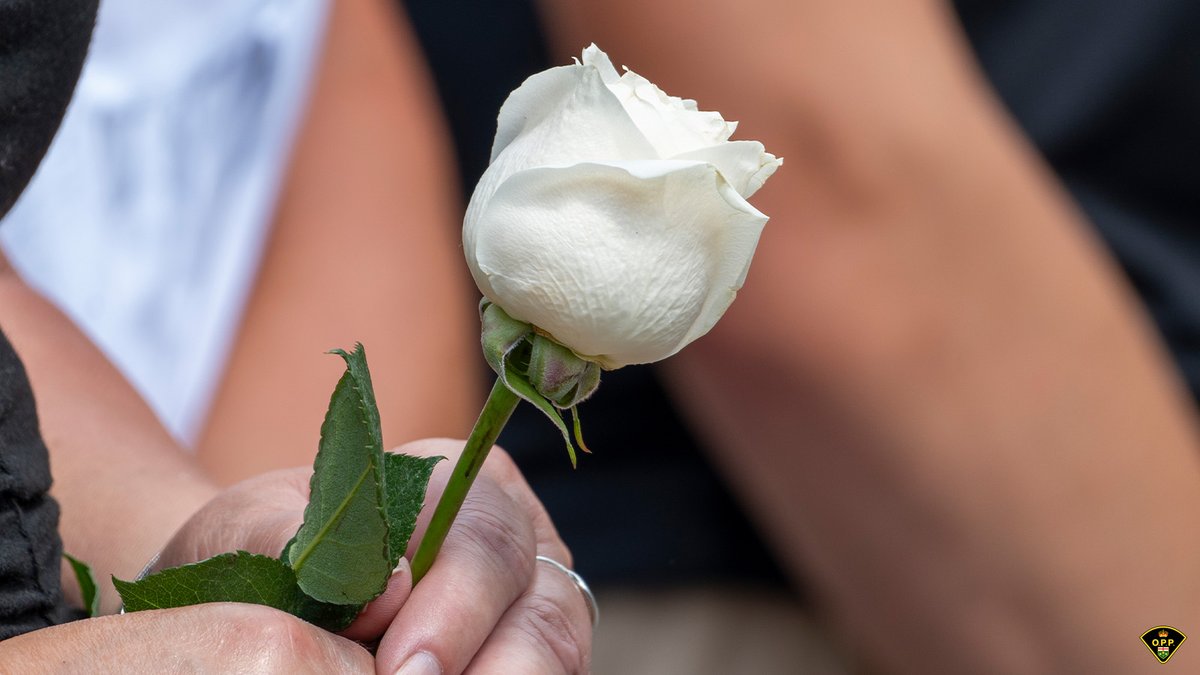 Thomas Carrique tweet media