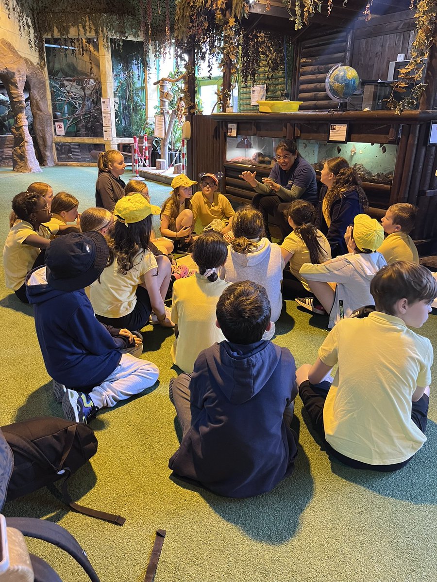 P6b had a great day out at the zoo today! 🦝🐻🐾