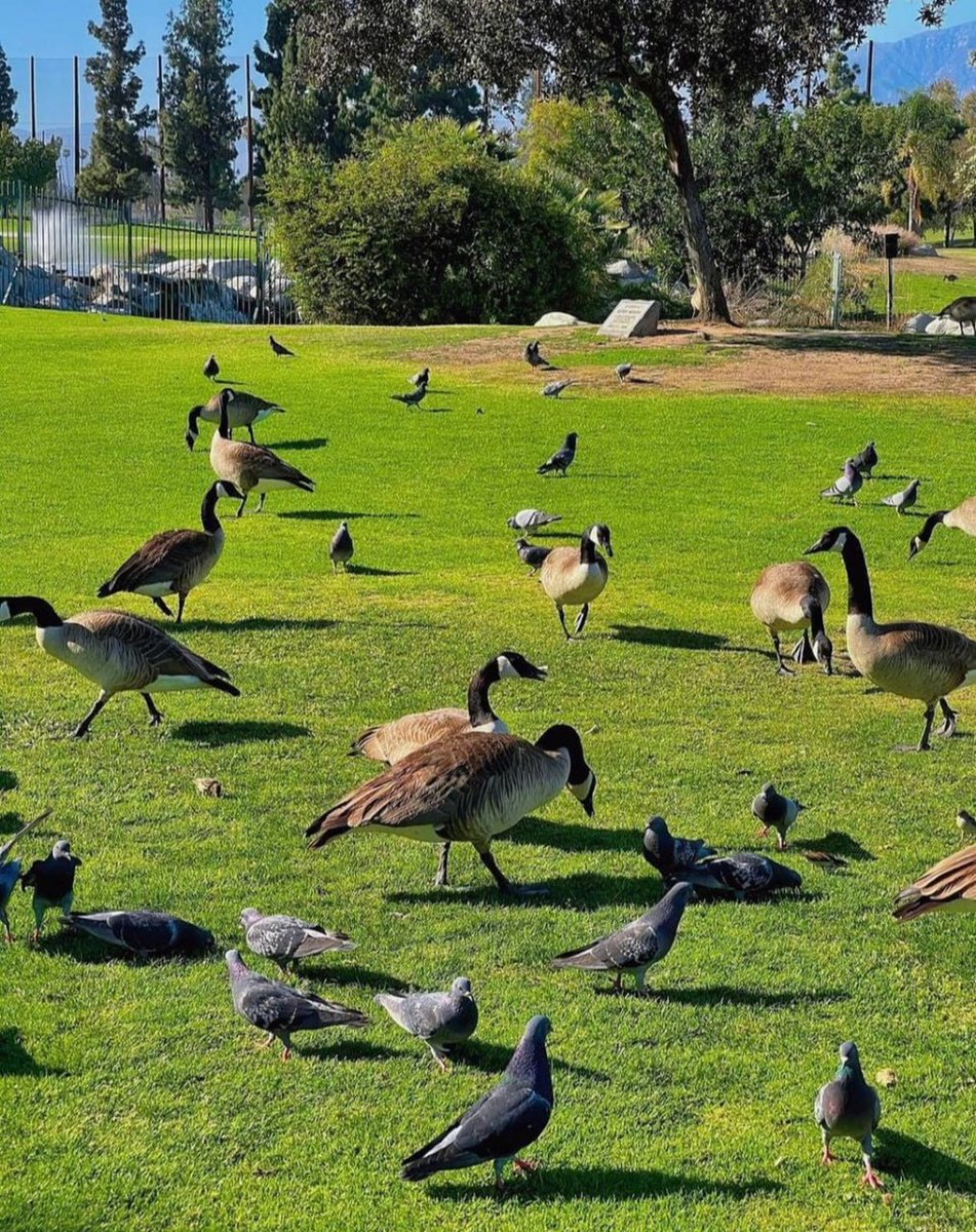 Emily192's tweet photo. The beauty of nature is sure to make the world more magnificent## https://t.co/BpArVDrnOB