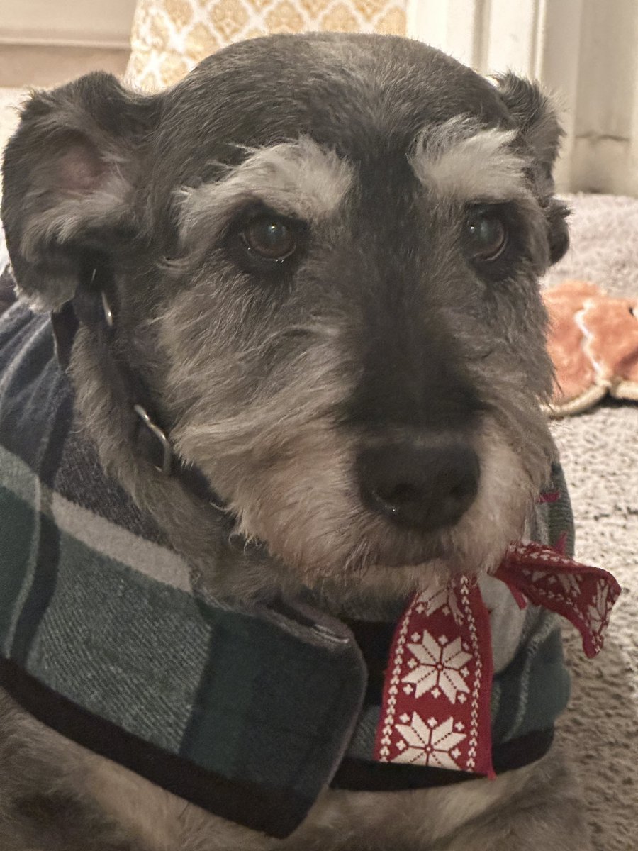 Did you know that today is “Take Your Dog to Work Day”? So, here’s Beau!

Ann and I are animal lovers and supporters of the Palm Springs Animal Shelter; Ann is currently on the Board of Directors of Pet Orphans of Southern California. 

#takeyourdogtoworkday