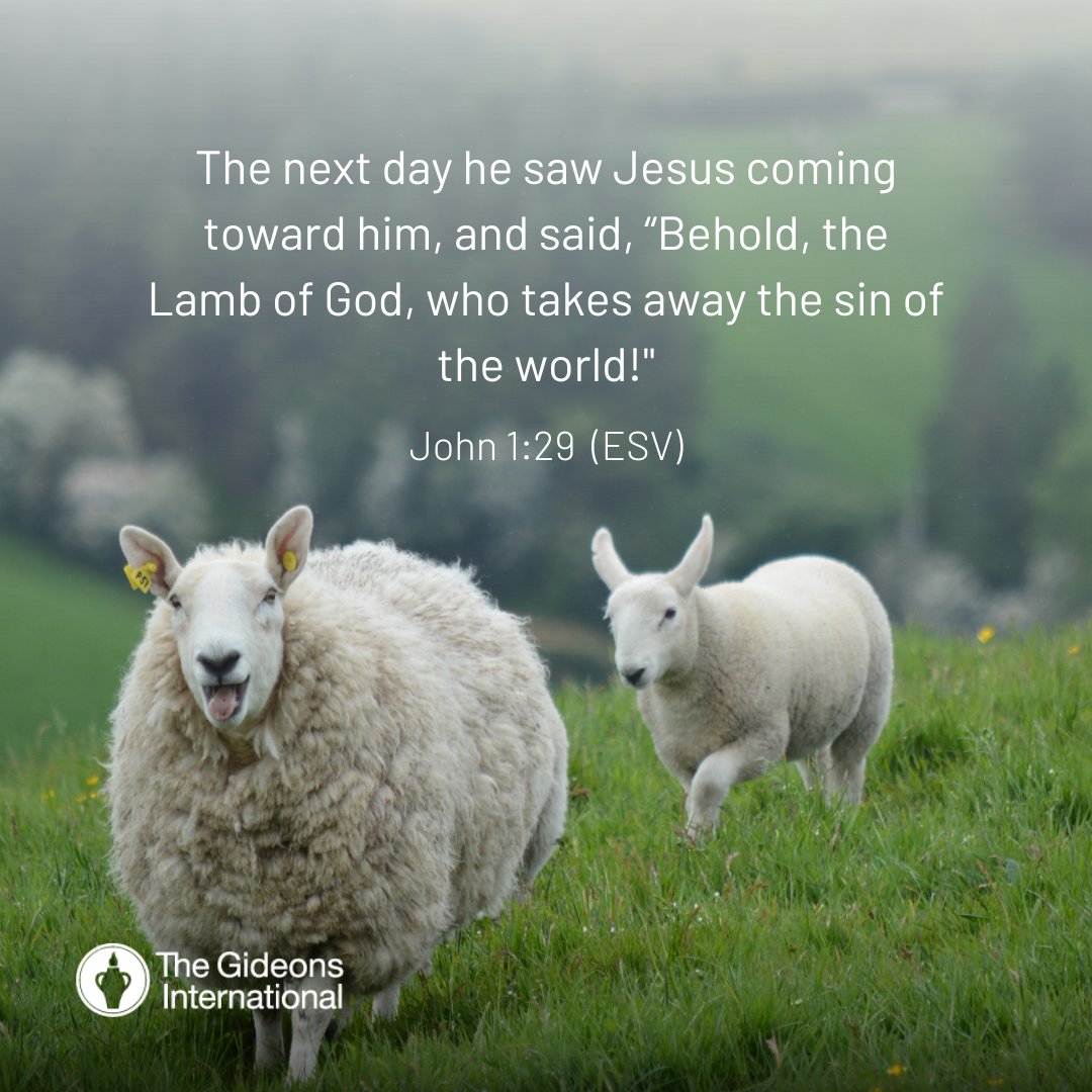 thegideons's tweet photo. Jesus is both our shepherd and the Lamb of God! #Jesus #thegideons #verseoftheday https://t.co/P6WhAy62Bz