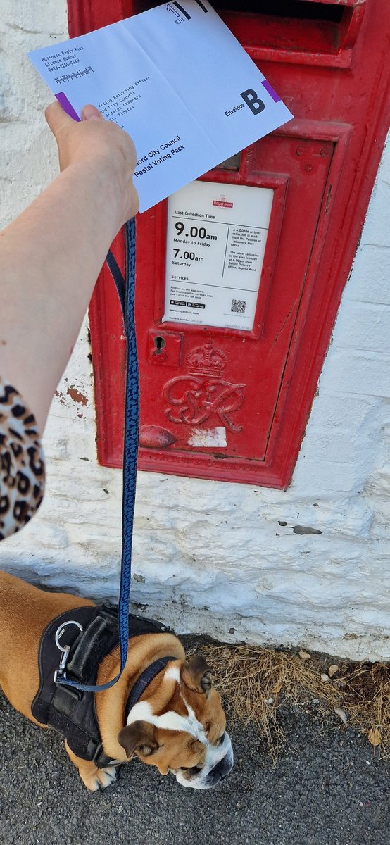 Rachel_Reville's tweet photo. @rail_guns @AnnelieseDodds Inspired by Arthur, Franklin has also just exercised his democratic duty 🐾 #dogsandpostalballots #dogsnotatpollingstations #votelabour https://t.co/dnlkuEOv0e