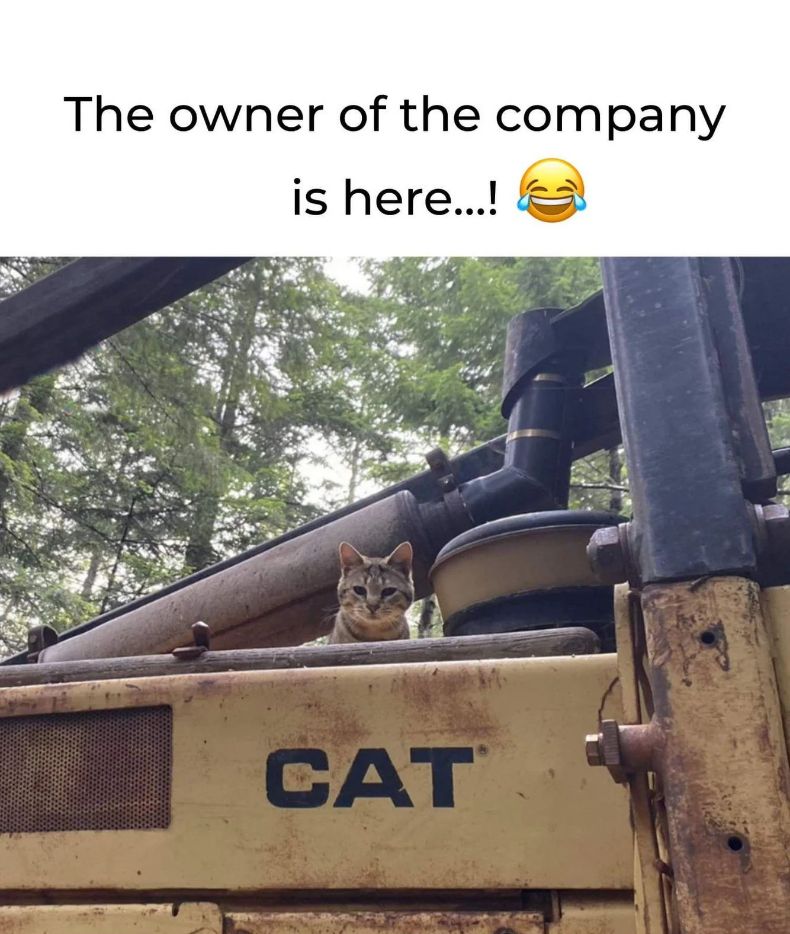 WholesomeMeme's tweet photo. https://t.co/rYDVkTbqnn