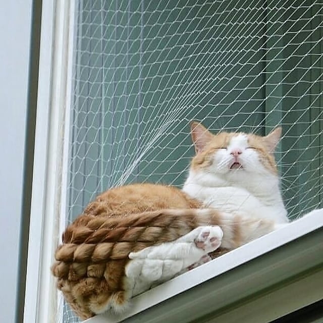 ClicktobuyStore's tweet image. Sold by @AVAShopinUSA design

LINK IN Below

linktr.ee/Clicktobuyonli…

cat-design-gifts-shop.myspreadshop.com

#CatTShirt #CatTShirtsForWomen #Hackercat #CatTShirtsForMen #FunnyCatShirts #printondemand #tshirt #gift #gifts #giftideas